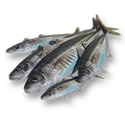 アジ_t.png