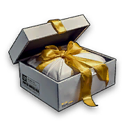 スキンボックス_item.png
