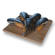 ムール貝_t.png