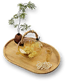 杭白菊_t.png