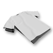 綿100%Tシャツ_t.png