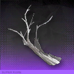 深眠の枝.png