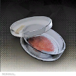脳霧の胞子.png