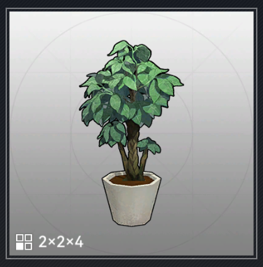 パキラ盆栽.png