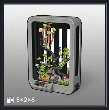 レインフォレストタンク・奇遇.png