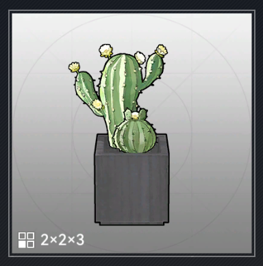 白い花のサボテン.png